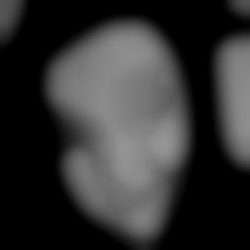 Member Image