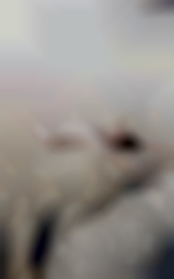 Member Image