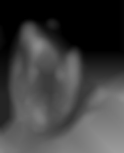 Member Image