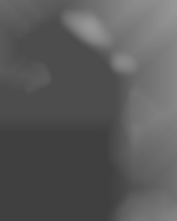 Member Image