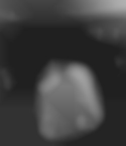 Member Image