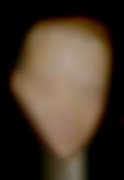 Member Image