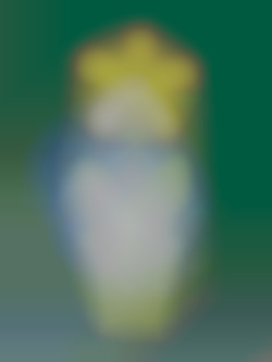 Member Image