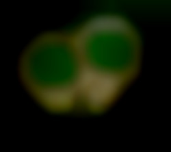 Member Image
