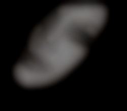 Member Image