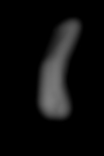 Member Image