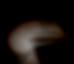 Member Image