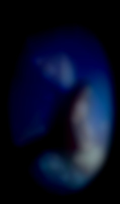 Member Image
