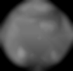 Member Image