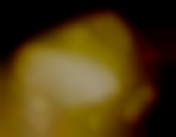 Member Image