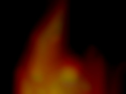 Member Image