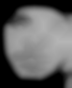 Member Image