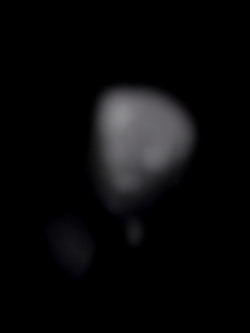 Member Image