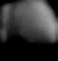 Member Image