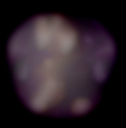 Member Image