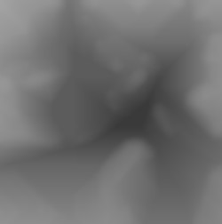 Member Image