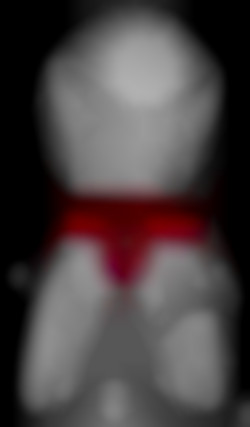 Member Image