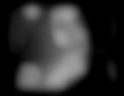 Member Image