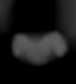 Member Image