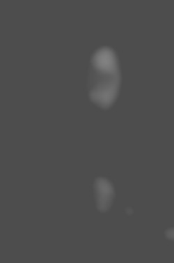 Member Image
