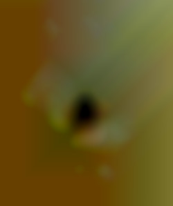 Member Image