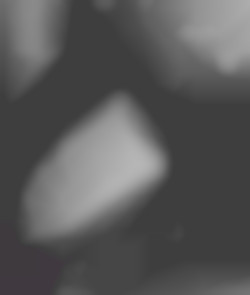 Member Image