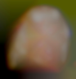 Member Image