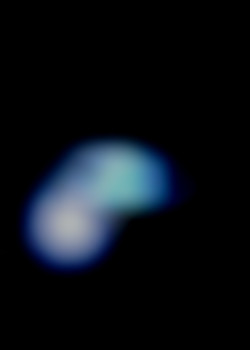 Member Image