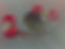Member Image
