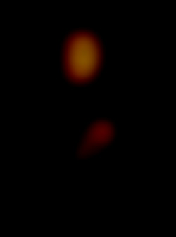Member Image