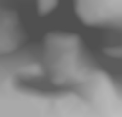 Member Image