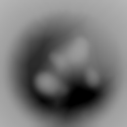 Member Image