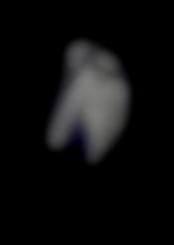 Member Image