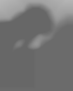 Member Image