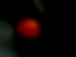 Member Image