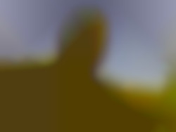 Member Image