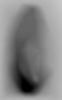 Member Image