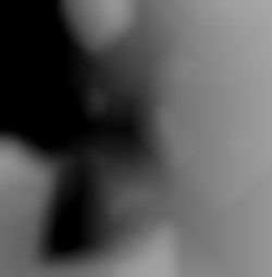 Member Image
