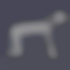 Member Image