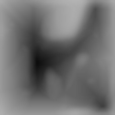 Member Image