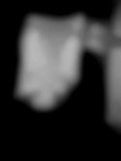 Member Image