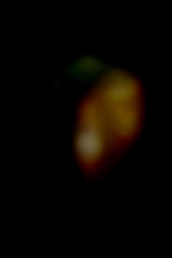 Member Image