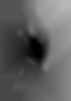 Member Image