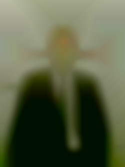 Member Image