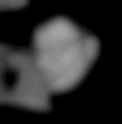 Member Image