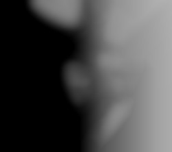 Member Image