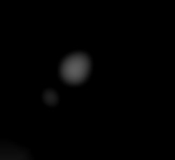 Member Image