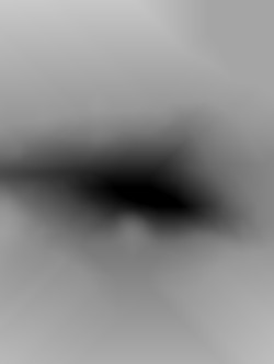 Member Image