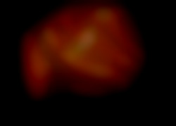 Member Image