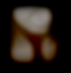 Member Image